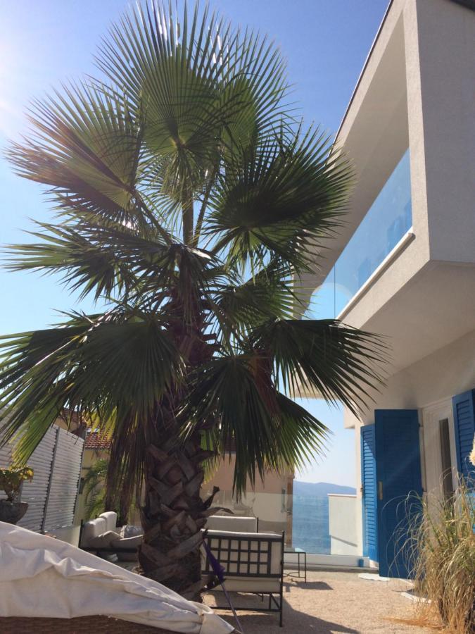 Seaside Villa With Private Pool Home By The Sea - Villa Trogir Zewnętrze zdjęcie